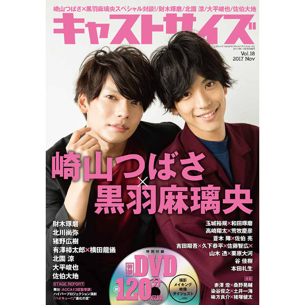 本］キャストサイズ vol.18 | 三才ブックス オンラインショップ