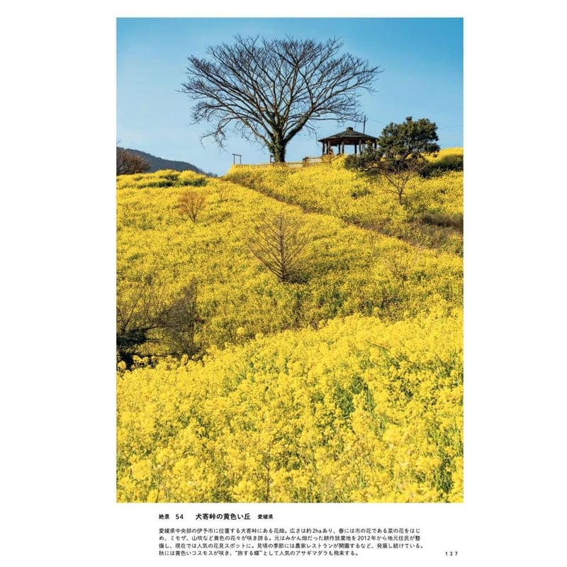本］死ぬまでに行きたい！ 世界の絶景 新世界編 | 三才ブックス