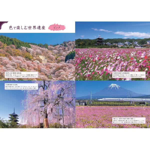 世界遺産 シリーズ創刊号　1集～11集　完全版 世界遺産 シリーズ創刊号 1集～11集 完全版 一億特攻”への