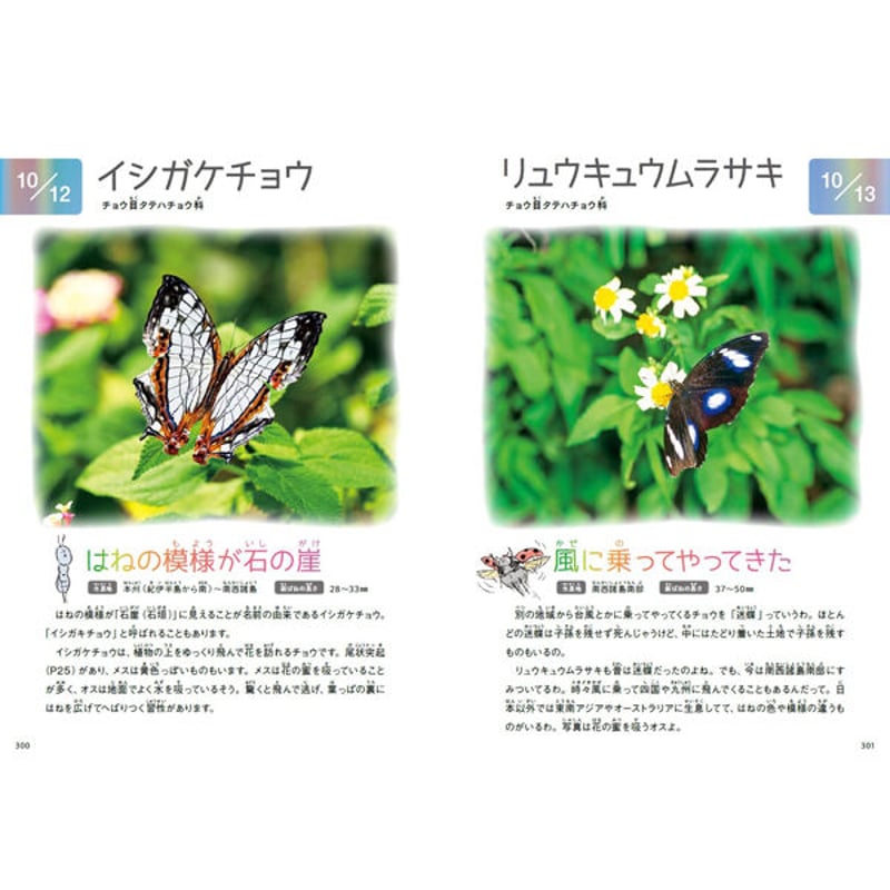 虫と花と輝く瞳と—自然に親しむ (小学館創造選書 88) 虫と花と輝く瞳と—自然に親しむ (小学館創造選書 88) 虫と