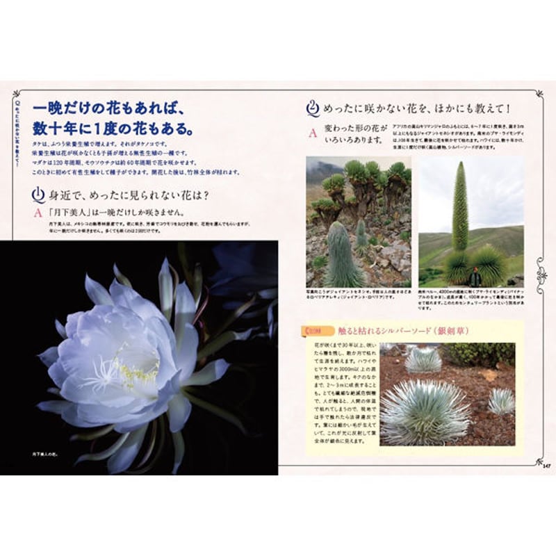 本］世界でいちばん素敵な花と草木の教室 | 三才ブックス オンライン
