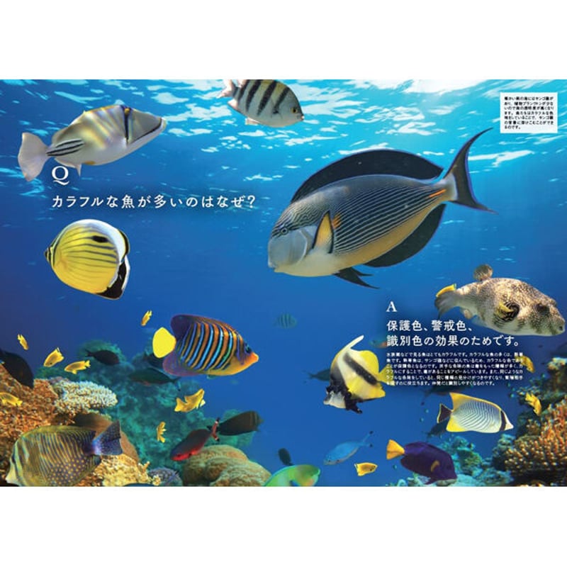 本］世界でいちばん素敵な理科の教室 | 三才ブックス オンライン