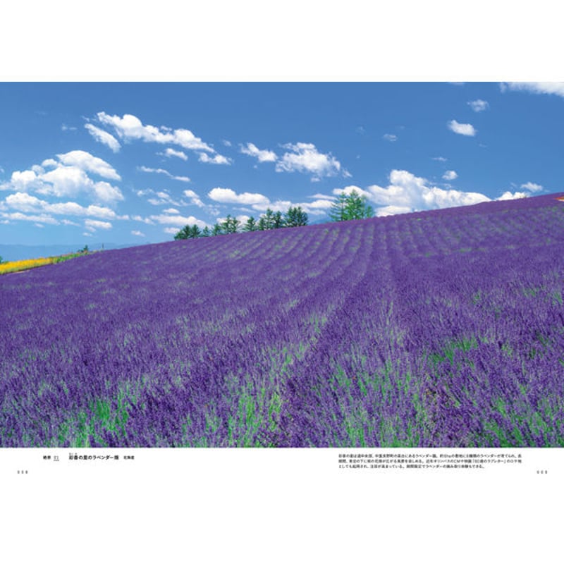 週刊 奇跡の絶景 全40巻セット(現在非売品) Amazon.co.jp: 在庫ありまたは注文可能 - 「週刊 奇跡の絶景 Miracle