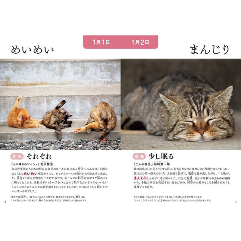 ねこは※プロフィールご一読下さい※ Kizineko-sama | 世界ッ！！ネコの日ーーーーーッ！！！ | Instagram
