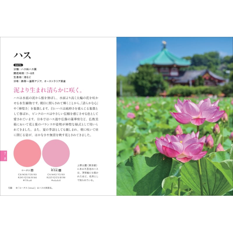 本］理想の色に巡り会える 花の色図鑑 | 三才ブックス オンラインショップ