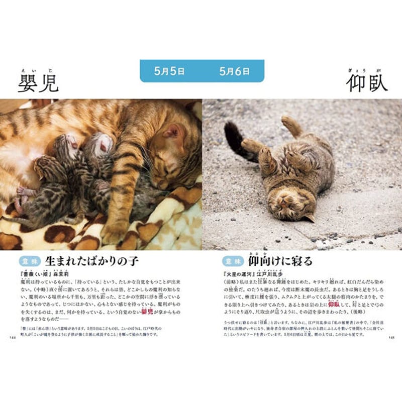 本］366日のにゃん言葉 | 三才ブックス オンラインショップ