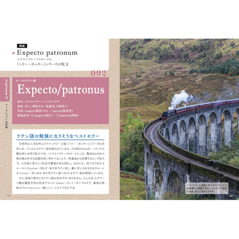 動物学ラテン語辞典 小野展嗣編　中古 動物学ラテン語辞典 小野展嗣編 中古 動物学ラテン語辞典 中古本