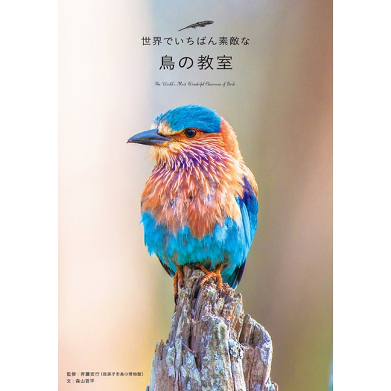 本］世界でいちばん素敵な鳥の教室 | 三才ブックス オンラインショップ