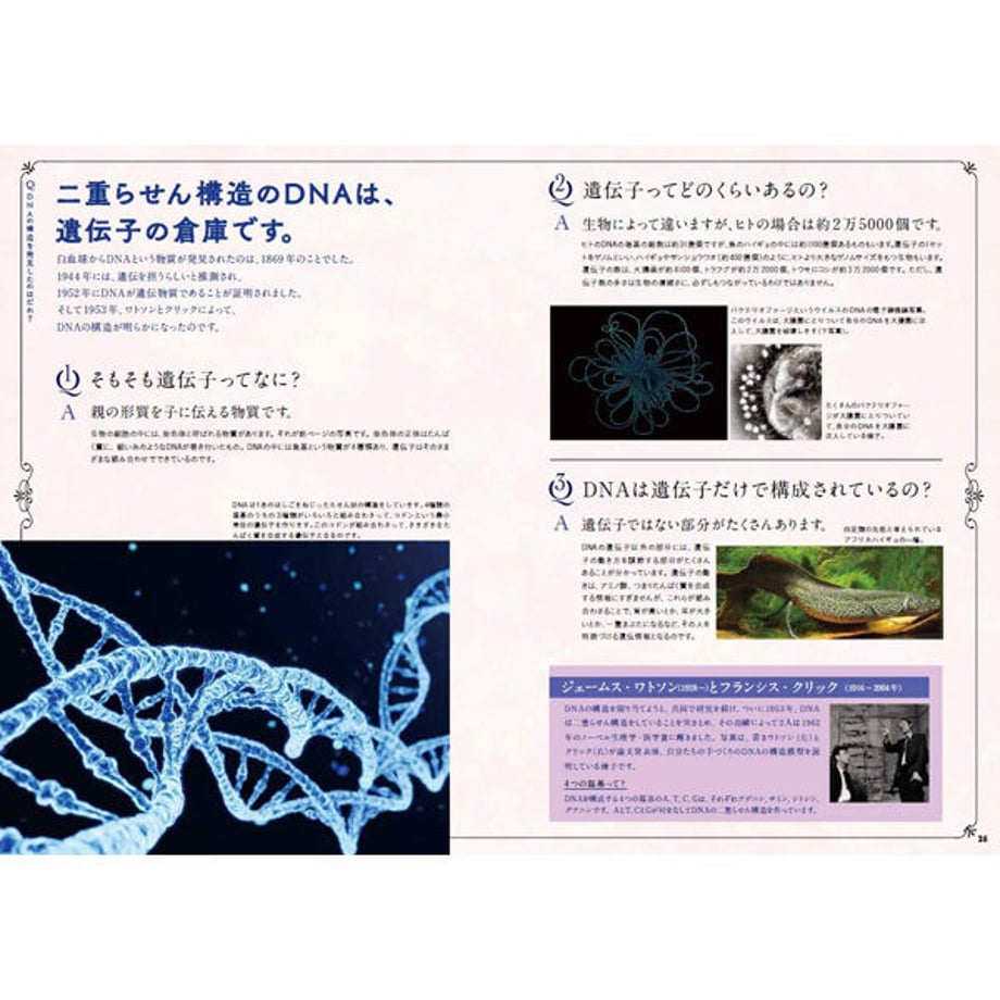 5e56313e4c4ae834574ee50b