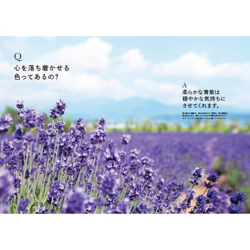 本］世界でいちばん素敵な色の教室 | 三才ブックス オンラインショップ