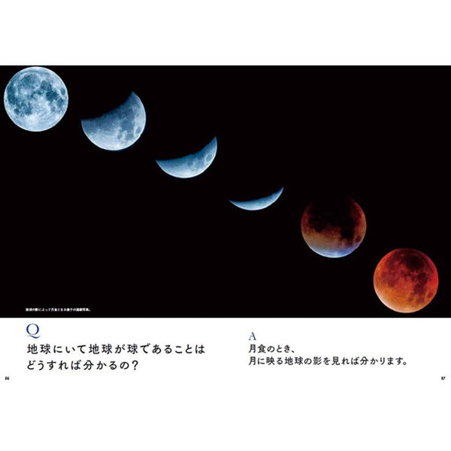 5e56313e4c4ae834574ee50b