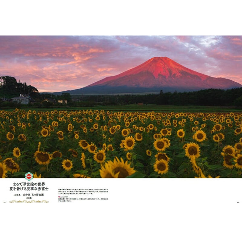 本］世界中に贈りたい 花の絶景100【特典ポストカード付