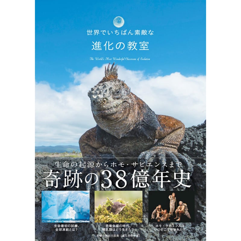 美品・希少:SINTESIシンテシ Sapiens サピエンスブックタワー10 美品・希少:SINTESIシンテシ Sapiens サピエンスブックタワー10