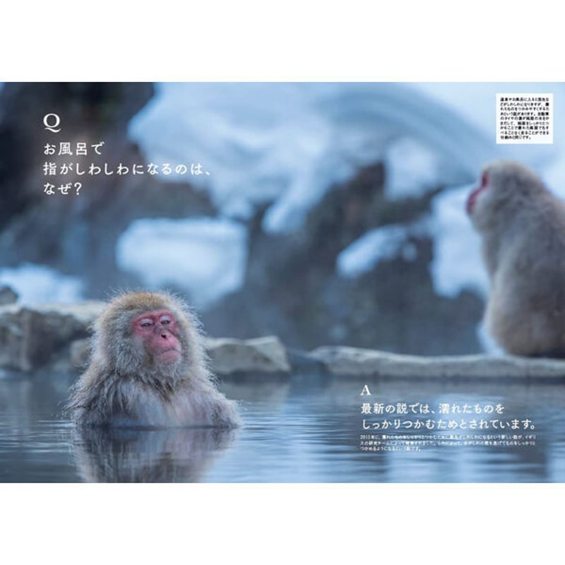 物理　実験•観察室　BEST100 PLUS 全3巻（DVD+CD）とてもキレイ 物理 実験•観察室 BEST100 PLUS 全3巻（DVD+CD）とてもキレイ その他