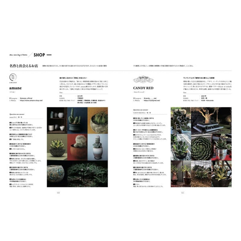 PLANETX 茂田真史　植木鉢 たけろうポットraw life factory PLANETX 茂田真史 植木鉢 たけろうポットraw life factory