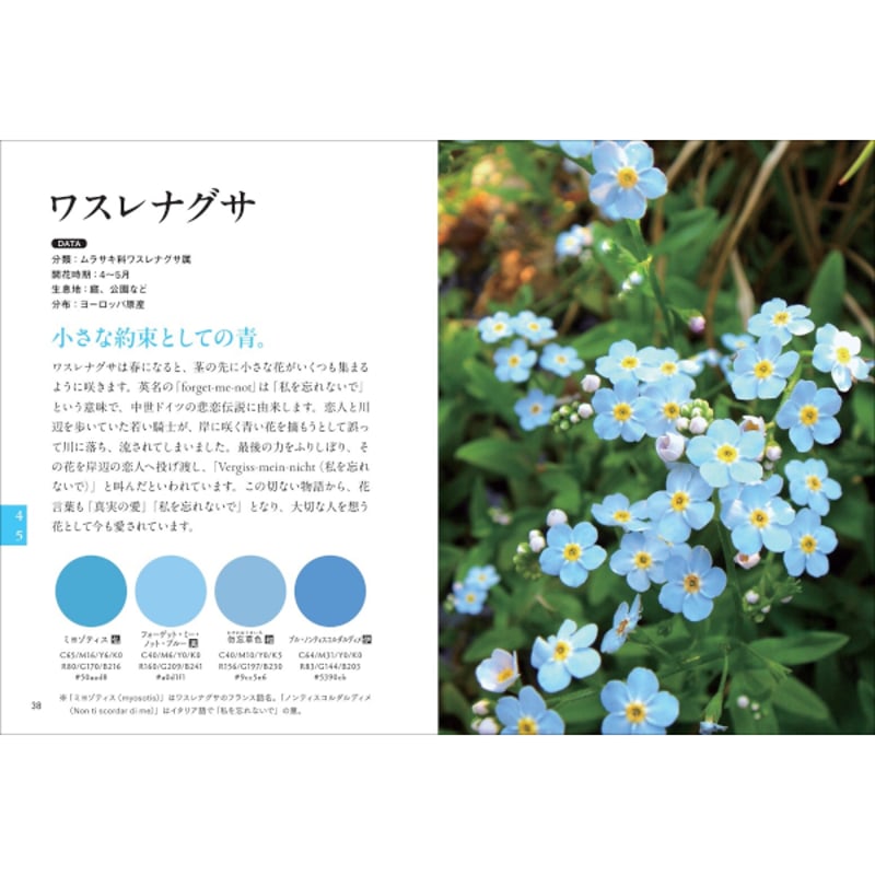 本］理想の色に巡り会える 花の色図鑑 | 三才ブックス オンラインショップ