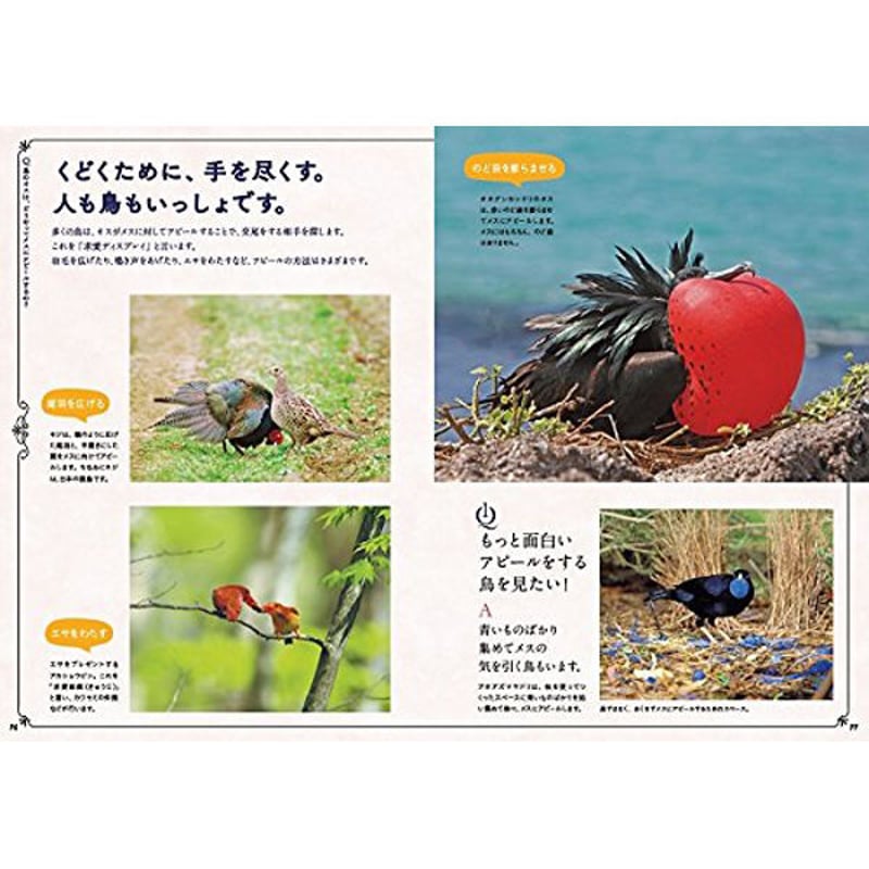 本］世界でいちばん素敵な鳥の教室 | 三才ブックス オンラインショップ
