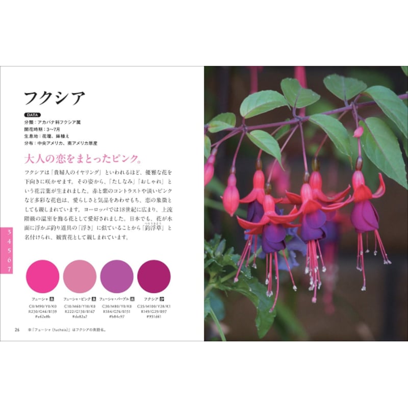 本］理想の色に巡り会える 花の色図鑑 | 三才ブックス オンラインショップ