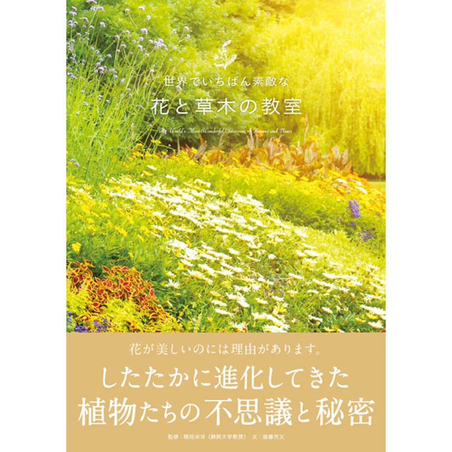 5e56313d4c4ae834574ee4fe