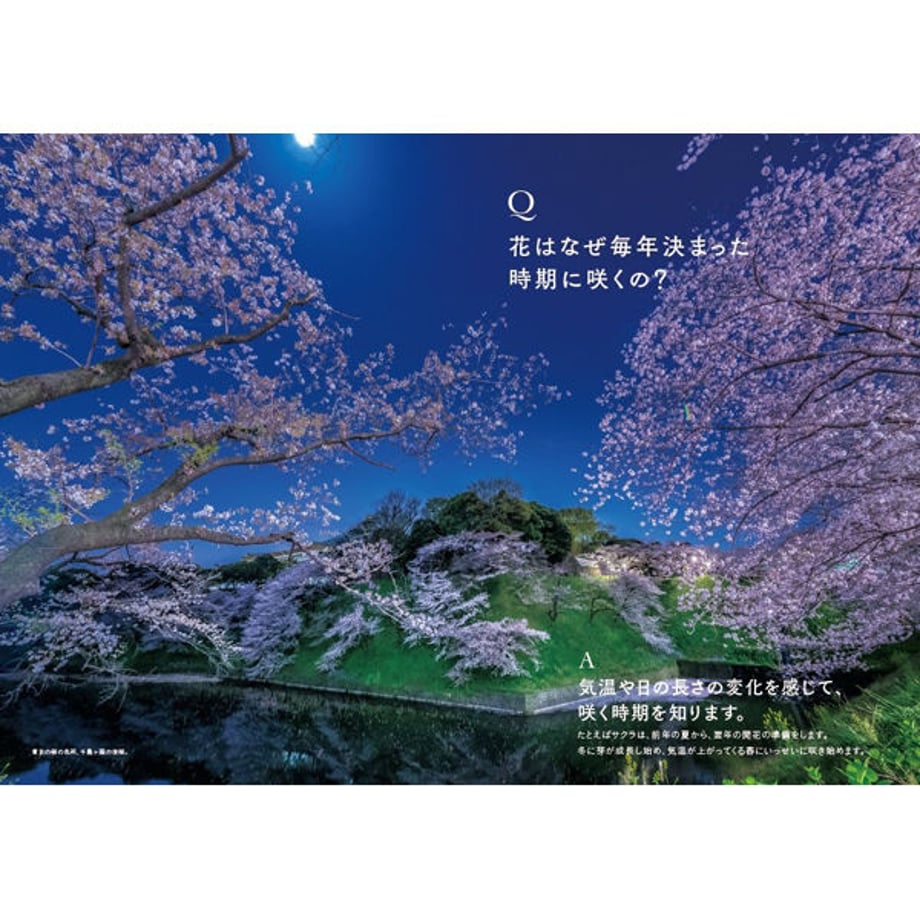 5e56313d4c4ae834574ee4fe