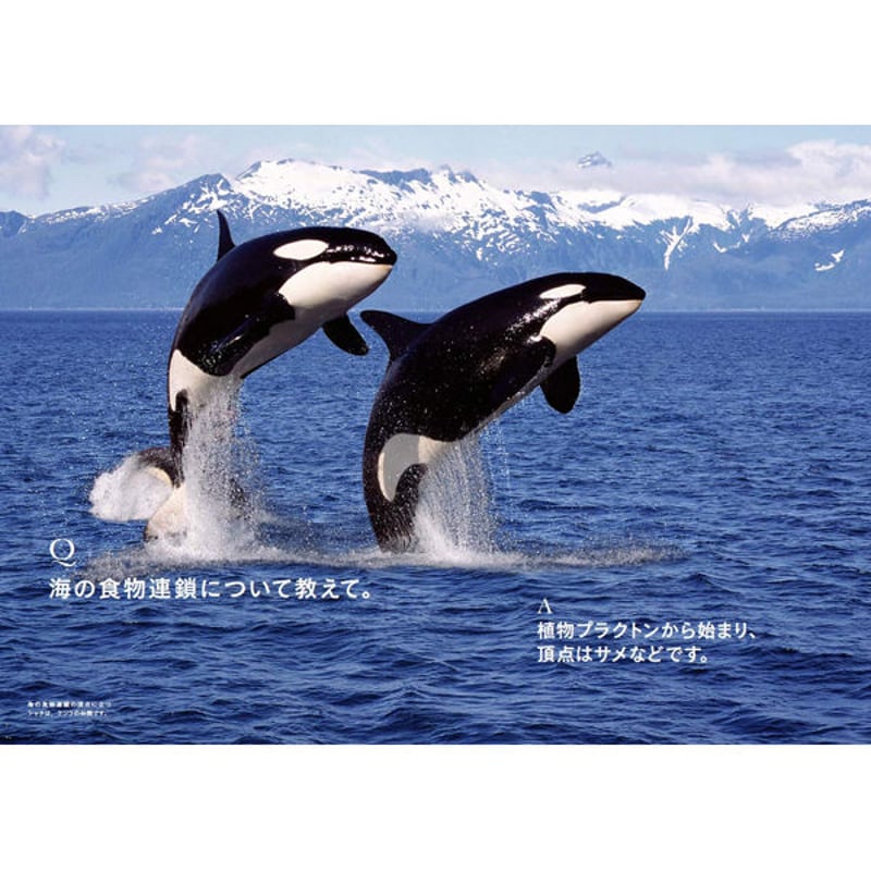 本］世界でいちばん素敵な海の教室 | 三才ブックス オンラインショップ