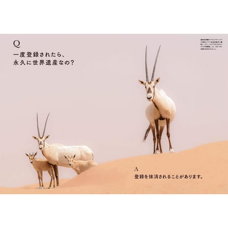 ［本］世界でいちばん素敵な世界遺産の教室