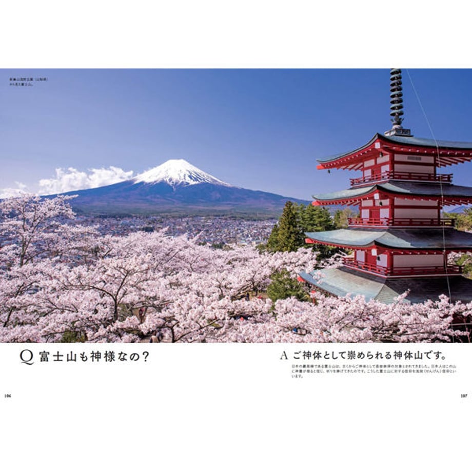 5e56313e4c4ae834574ee507