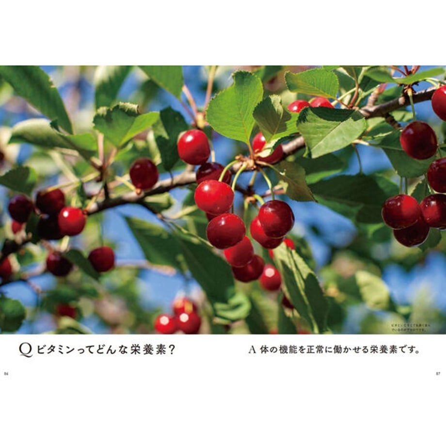 5fc885e3da019c1d47845296