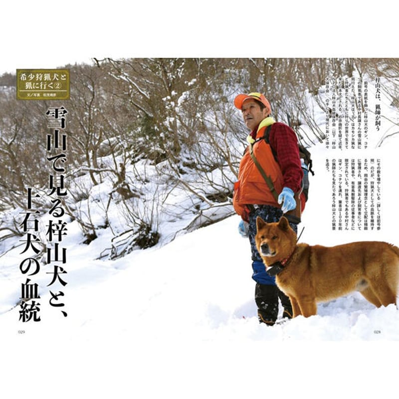 東京ファンミPR猟犬2枚 東京ファンミPR猟犬2枚 東京ファンミPR猟犬2枚 東京ファンミPR猟犬