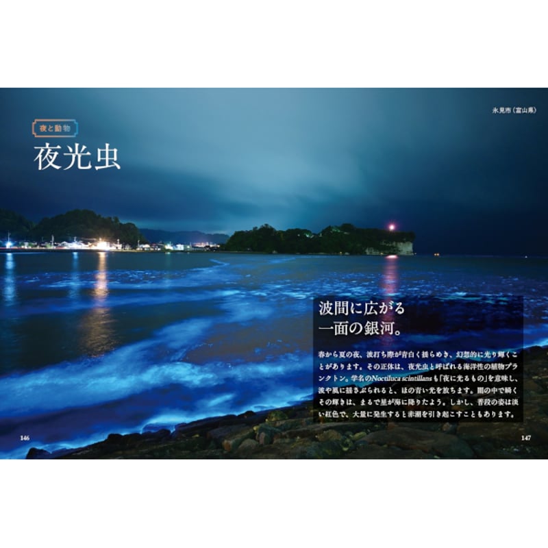 本］眠れない日にそっとめくる 夜の図鑑 | 三才ブックス オンライン