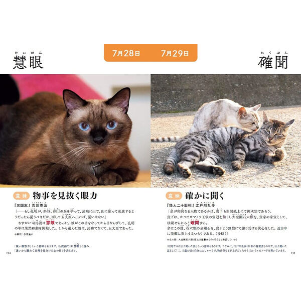 メルカリで本日中に売れなければ300円❗️「みんな待ってる花猫 メルカリで本日中に売れなければ300円❗️「みんな待ってる花猫