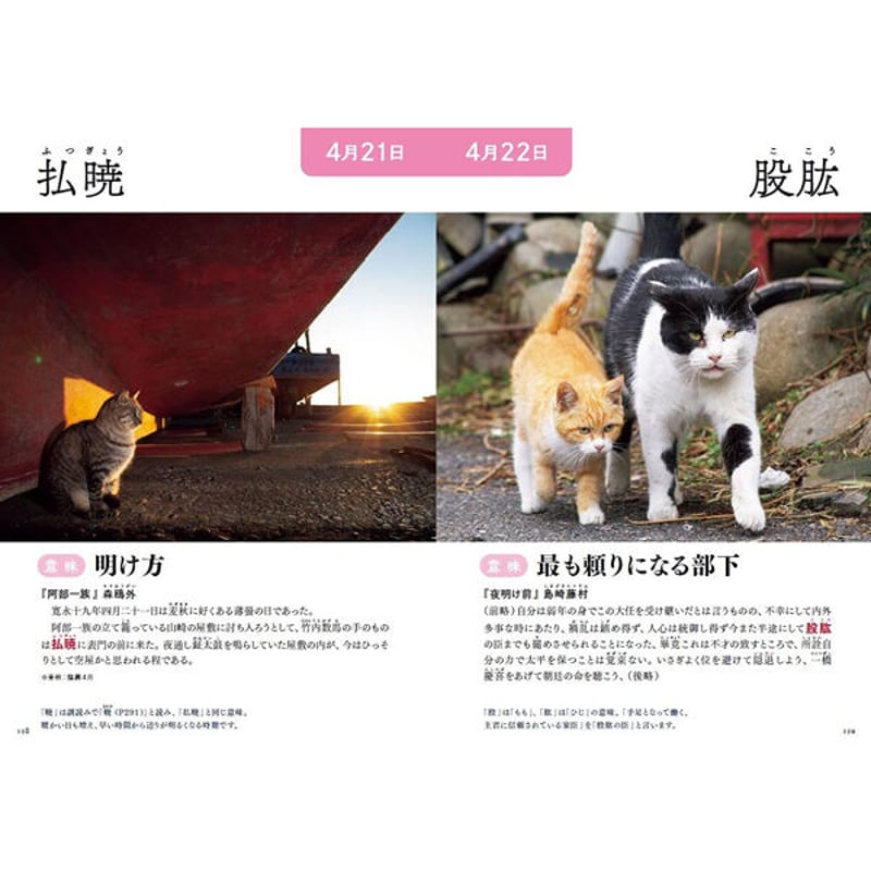 本］366日のにゃん言葉 | 三才ブックス オンラインショップ