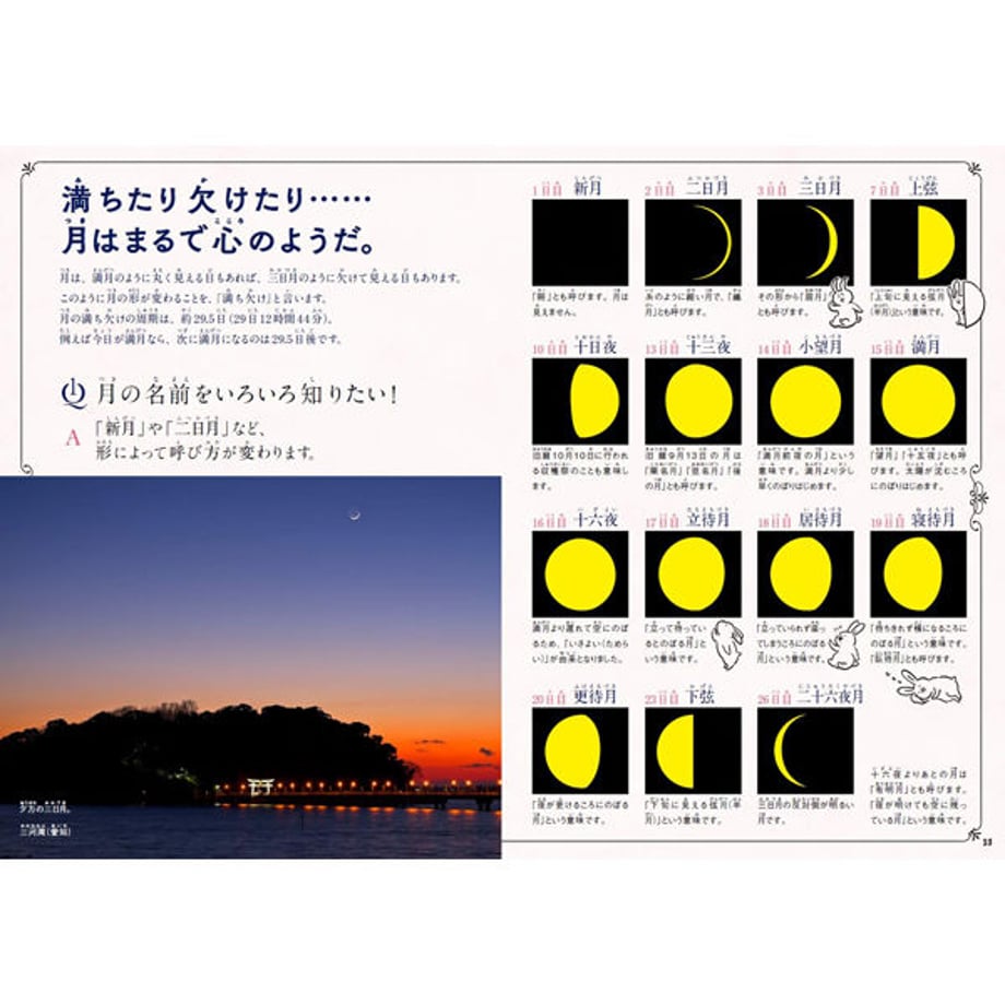 5e5631404c4ae834574ee525