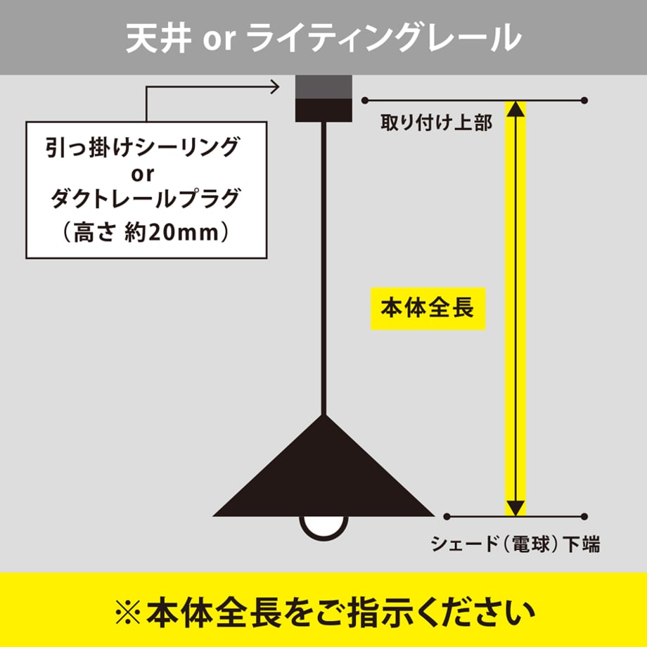 65ae361cf848b10032ab75c4