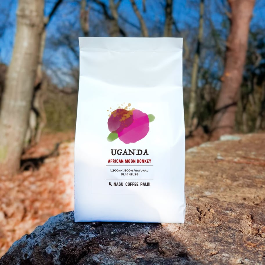 中深煎り】ウガンダ ルウェンゾリ ドンキー アフリカンムーン