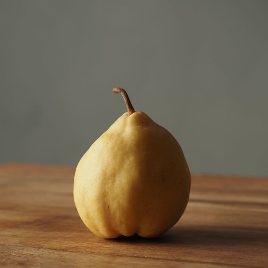 5ca2f6f2c3a96763a19e778d