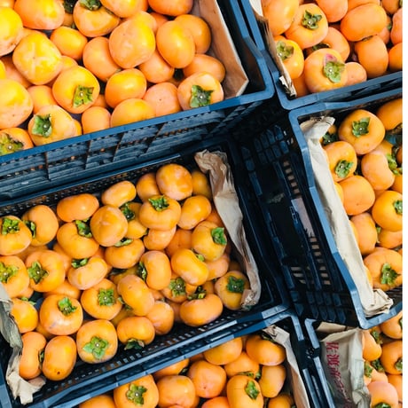 佐渡島のおいしい柿 5kg 自宅用 18-27個。