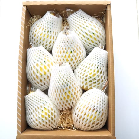 Le Lectier 3kg GIFT