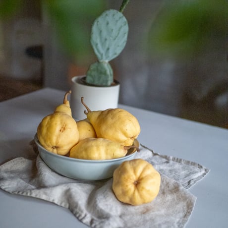 Le Lectier 4kg ★★★★★GIFT