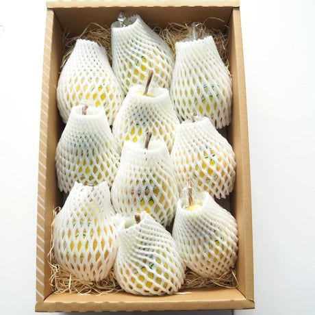 Le Lectier 4kg GIFT