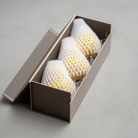 LE LECTIER 1.7kg GIFT