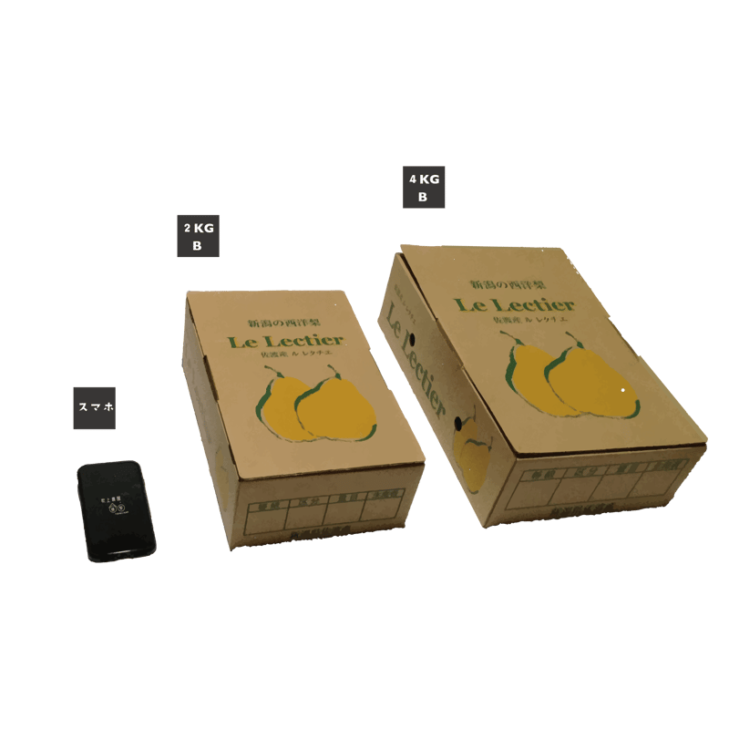 ルレクチエ 2kg ご自宅用 | 佐渡島 吹上農園 おいしい柿とルレクチェと。