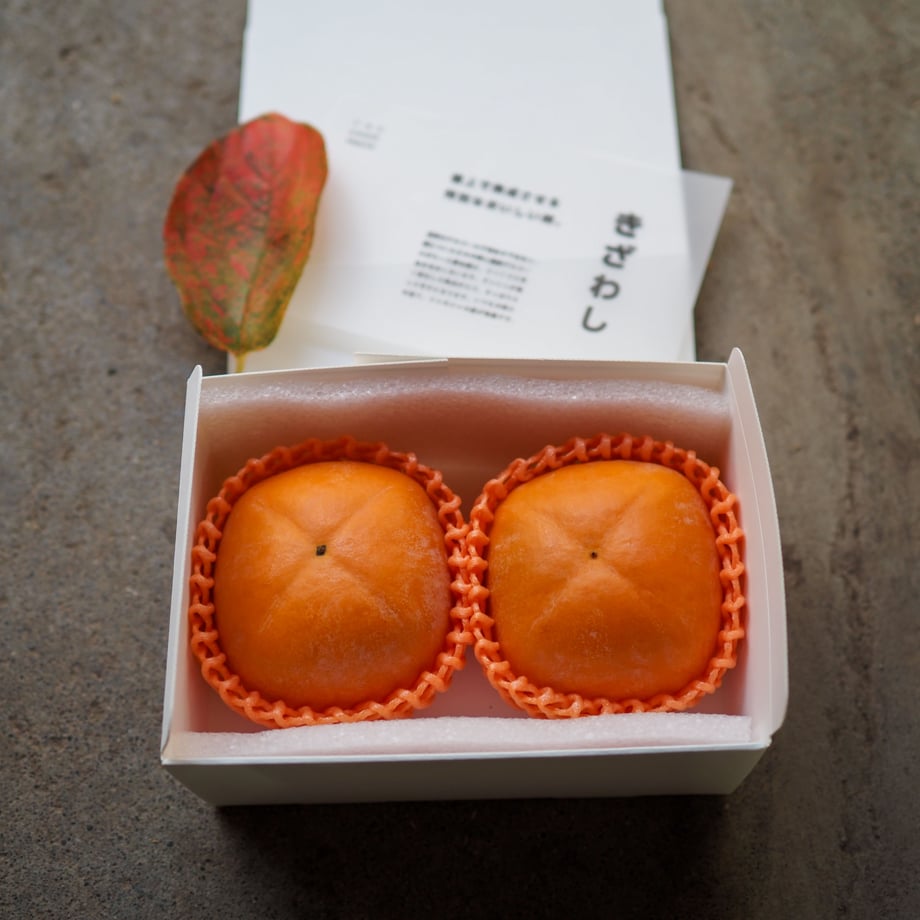 65eebf5be2dc7a037295ce5c