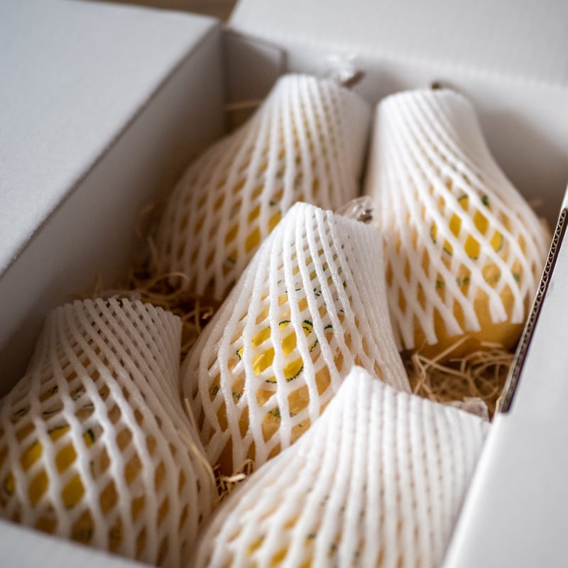 Le Lectier 2kg GIFT | 佐渡島 吹上農園 おいしい柿とルレクチェと。