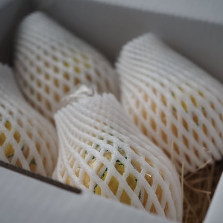 吹上農園のおいしいサブスク。