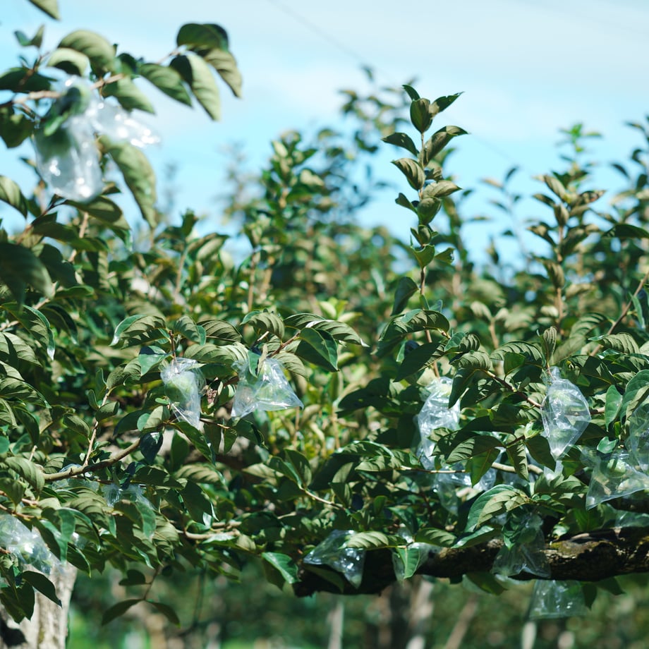 5e4eca3794cf7b74d68ce964