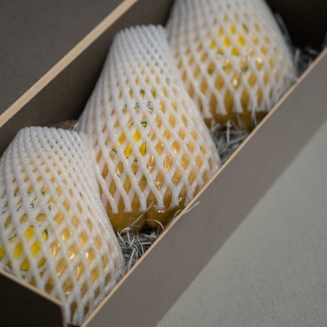 LE LECTIER 1.7kg GIFT