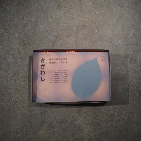 樹上脱渋　きざわしGIFT 6個。