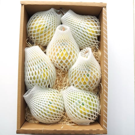 Le Lectier 4kg ★★★★★GIFT