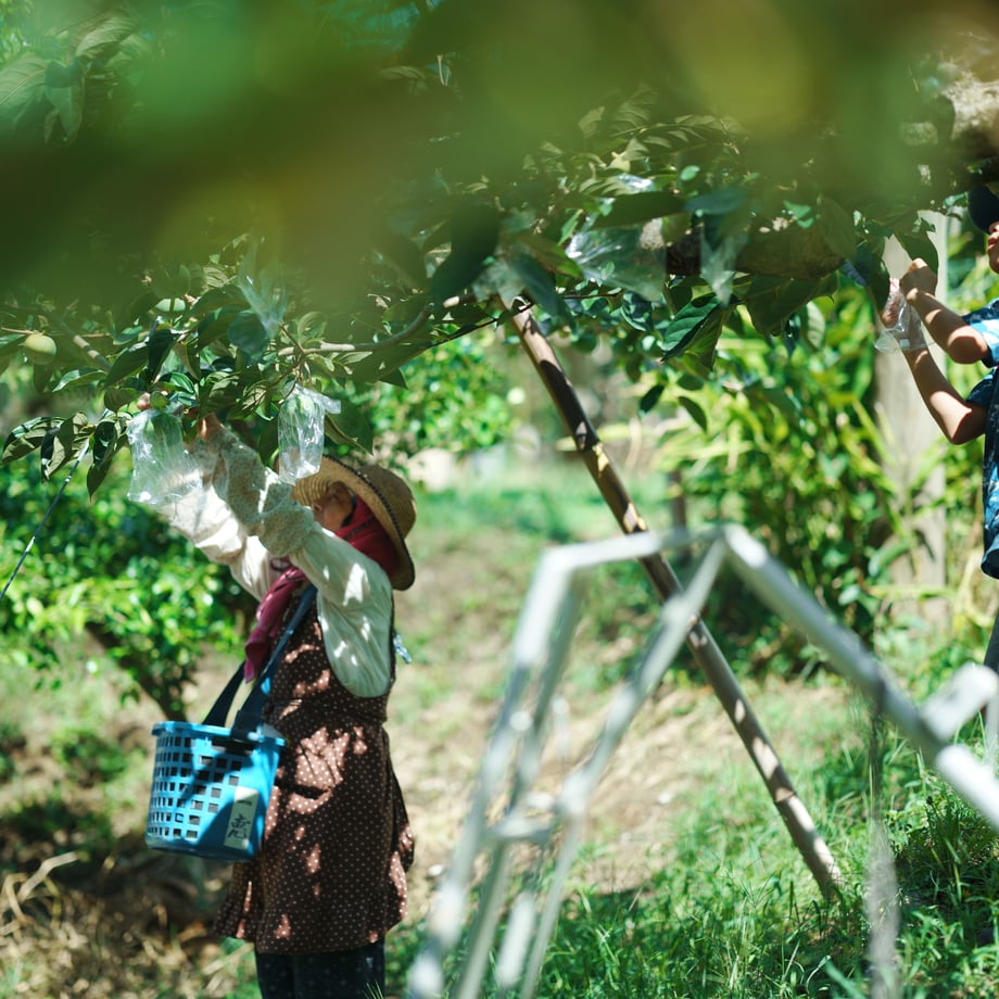 5e4eca3794cf7b74d68ce964